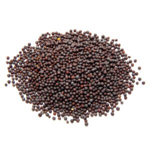 MUSTARD SEED
